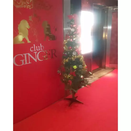 club GINGER