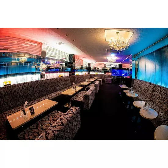New Club Camellia