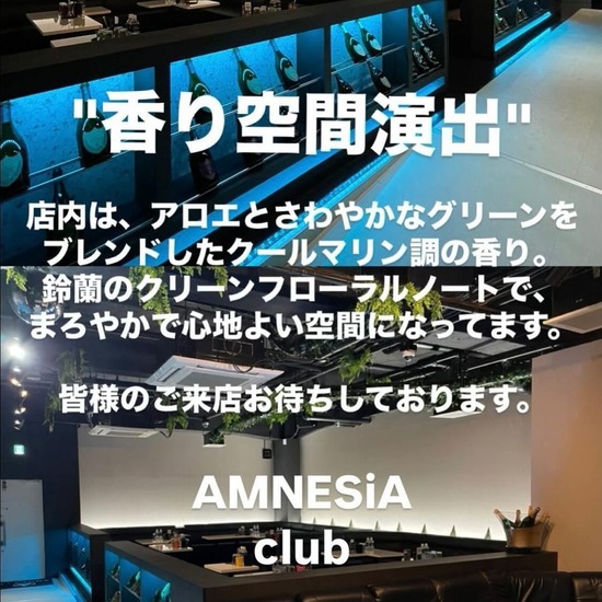 AMNESiA-club