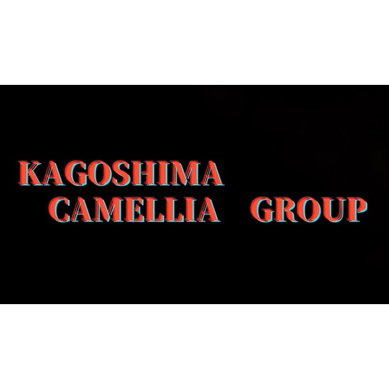 New Club Camellia