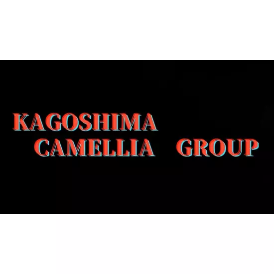 New Club Camellia