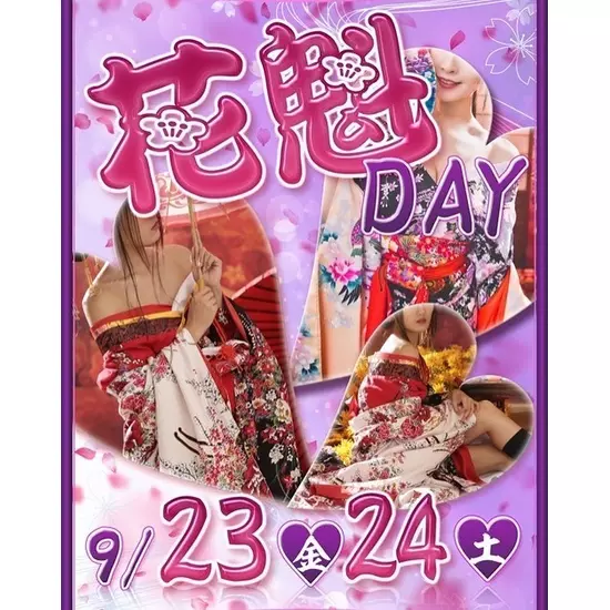 Pixy YOKOHAMA