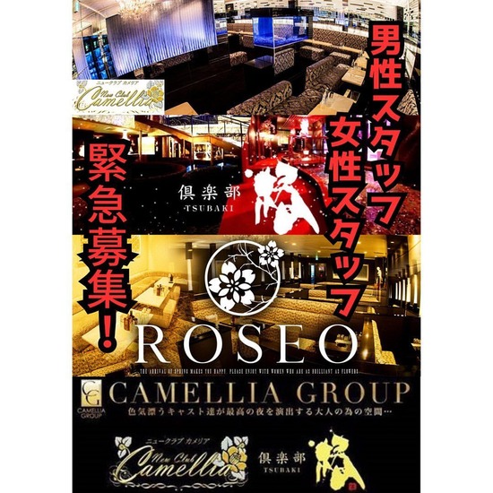 New Club Camellia