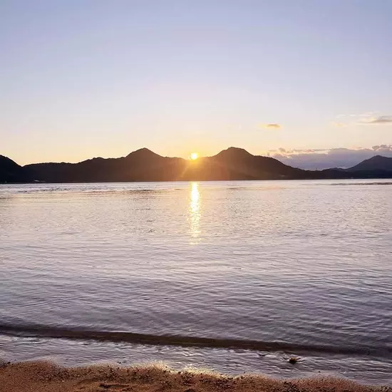 コスプレGirlsBar Ring