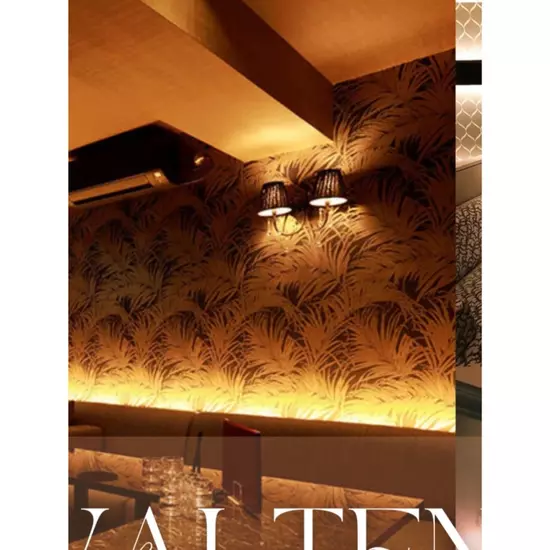 LIVELY CLUB VALTEN
