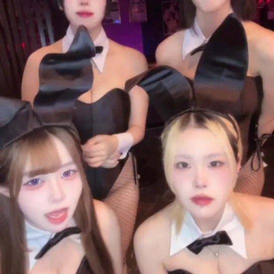 Party Bunny