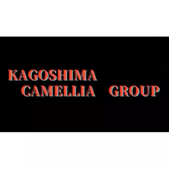 New Club Camellia