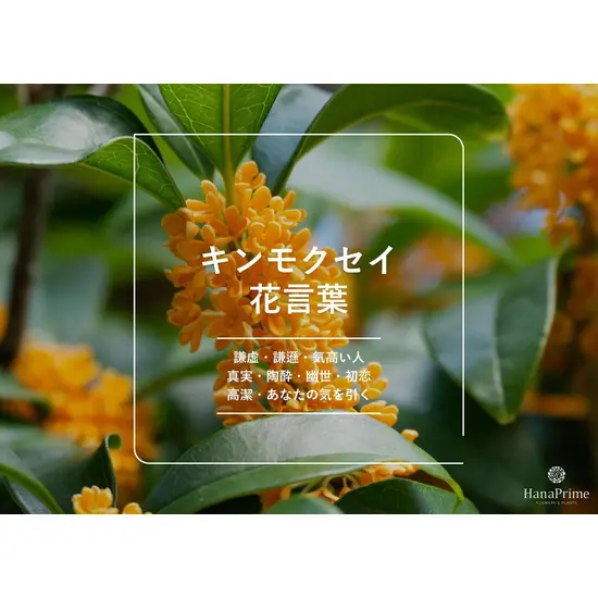 巣鴨いたち倶楽部
