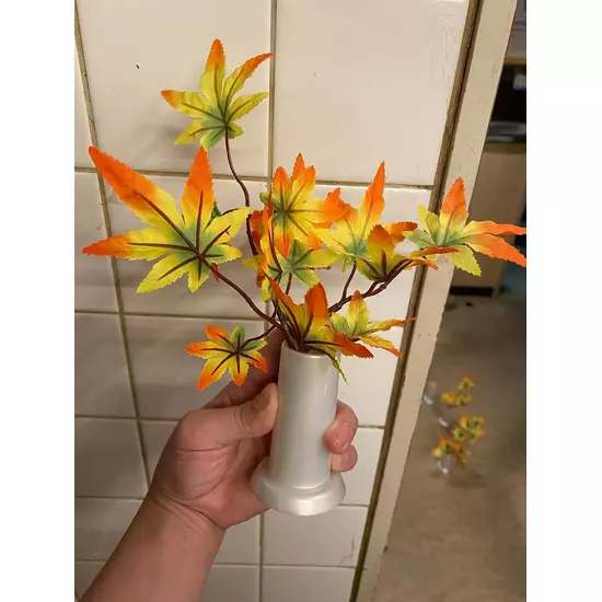 PUB CLUB オレンジ