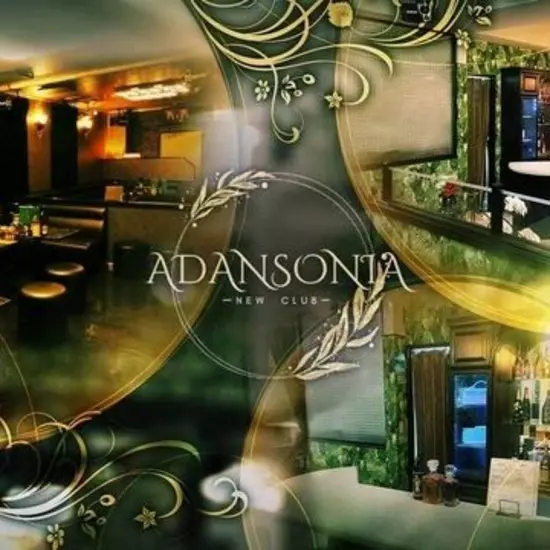 NEW CLUB ADANSONIA