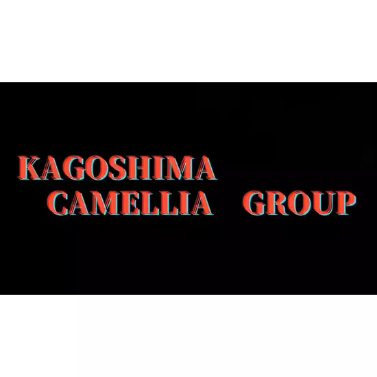 New Club Camellia
