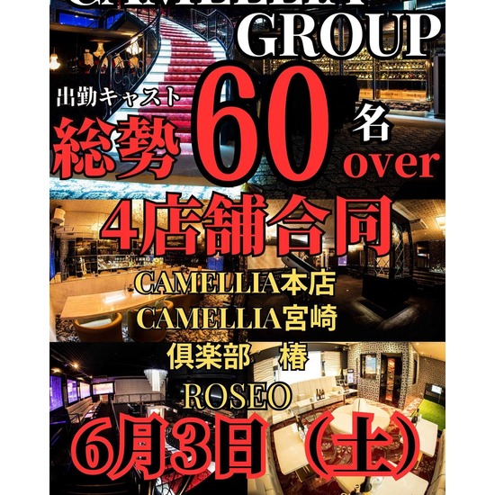 New Club Camellia