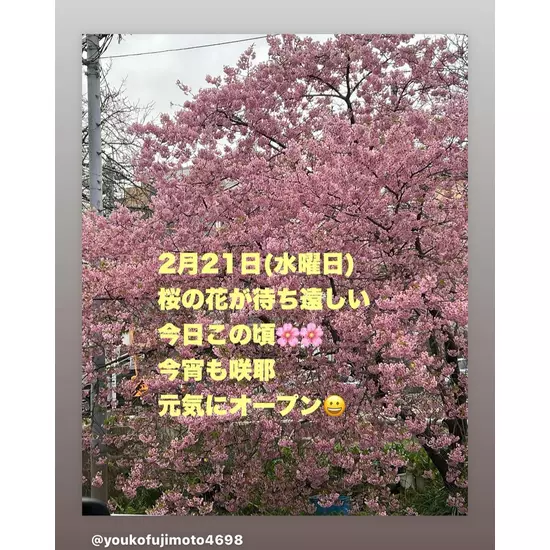 咲耶