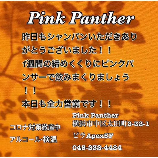 PINK PANTHER