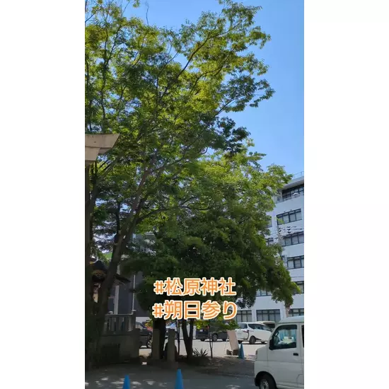 Club おかえりなさい