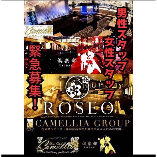 New Club Camellia