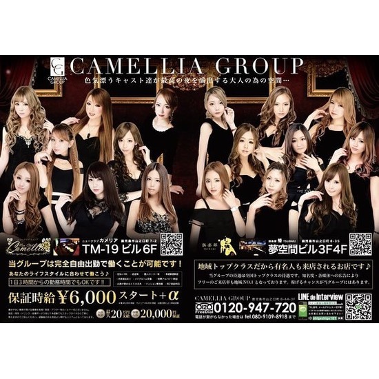 New Club Camellia