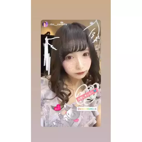 New Club Camellia
