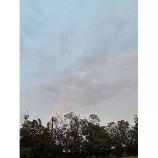 コスプレGirlsBar Ring