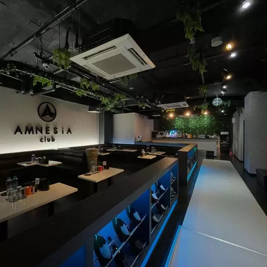 AMNESiA-club