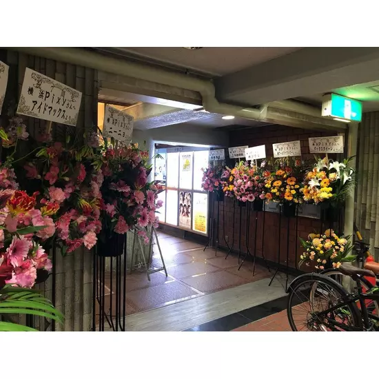 Pixy YOKOHAMA
