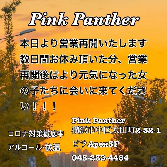 PINK PANTHER