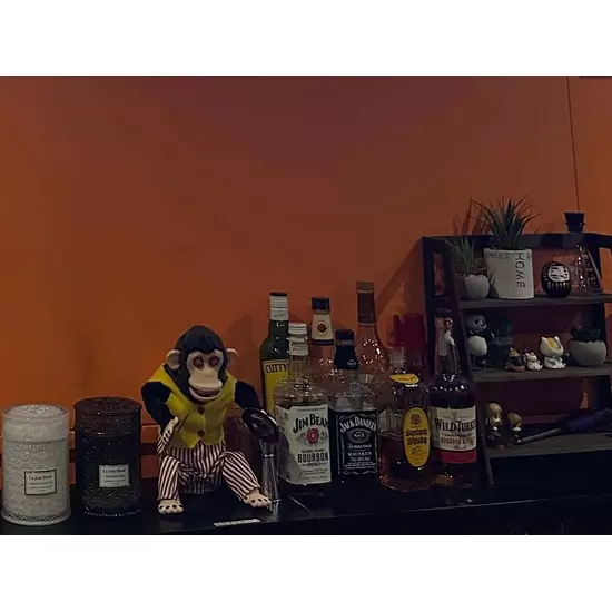 Girl's Bar Fun
