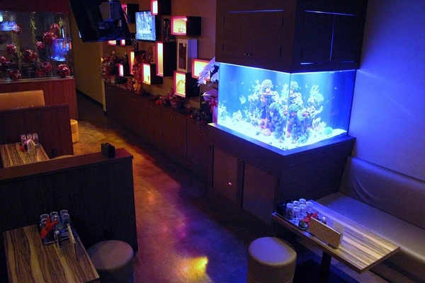 Club HAVEN