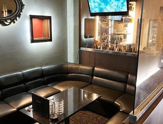 NEW STYLE CLUB Luxe