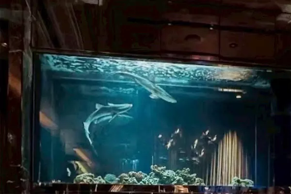 CLUB ATLANTIS ROPPONGI TOKYO
