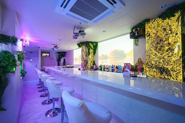 Girls Bar SHIRO