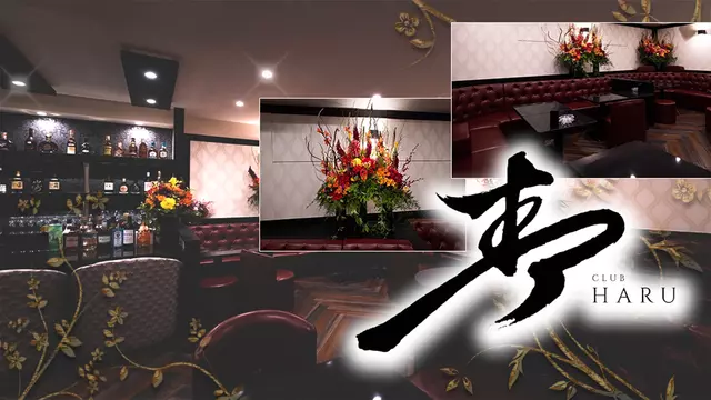 春(新宿区 歌舞伎町のクラブ)