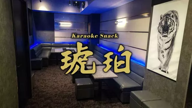 琥珀(浦安市 当代島のスナック)