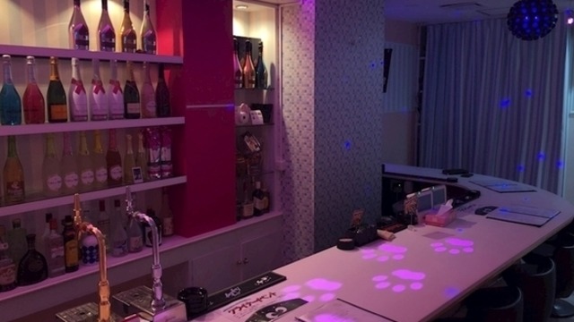 Girls Bar Luxe ラグゼ 世田谷区用賀 ガールズバー ナイトスタイル