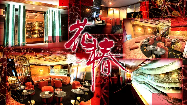 ハナツバキ(横浜市 西区南幸のキャバクラ)