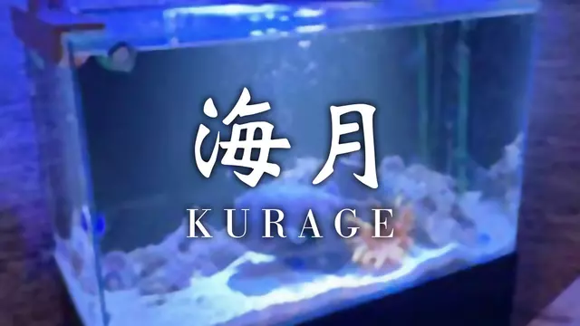 クラゲ(下関市 豊前田町のラウンジ)