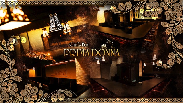 Girl S Bar Prima Donna プリマドンナ 市川市南八幡 ガールズバー ナイトスタイル