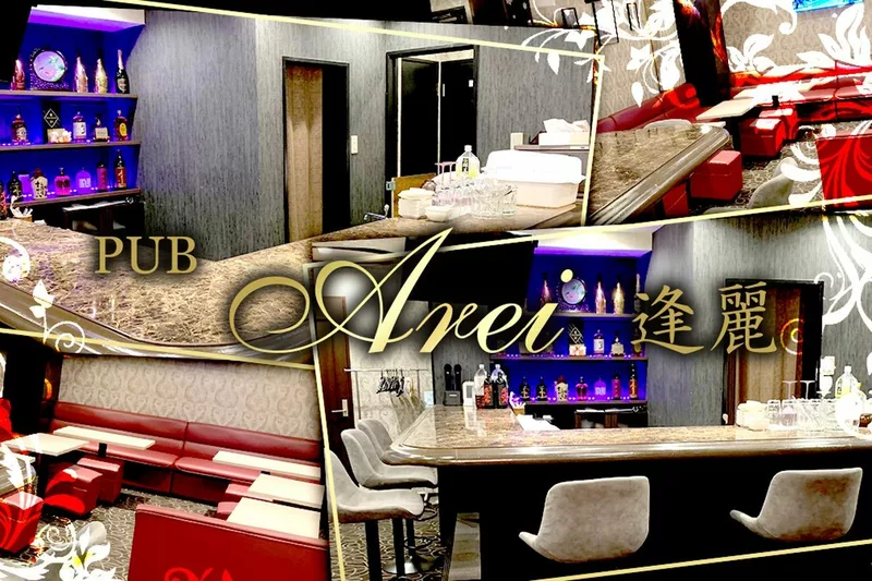 Pub Arei -逢麗-求人情報