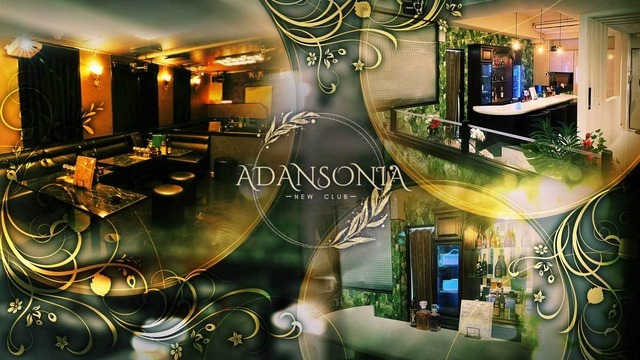 NEW CLUB ADANSONIA求人情報