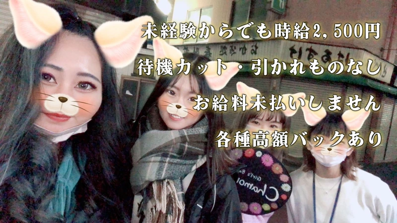 Girl's Bar Chamomile求人情報