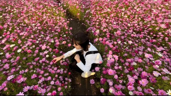 らな