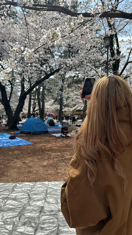 ひな