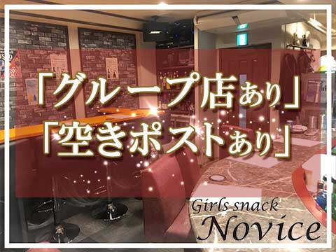 Girls Snack Novice求人情報