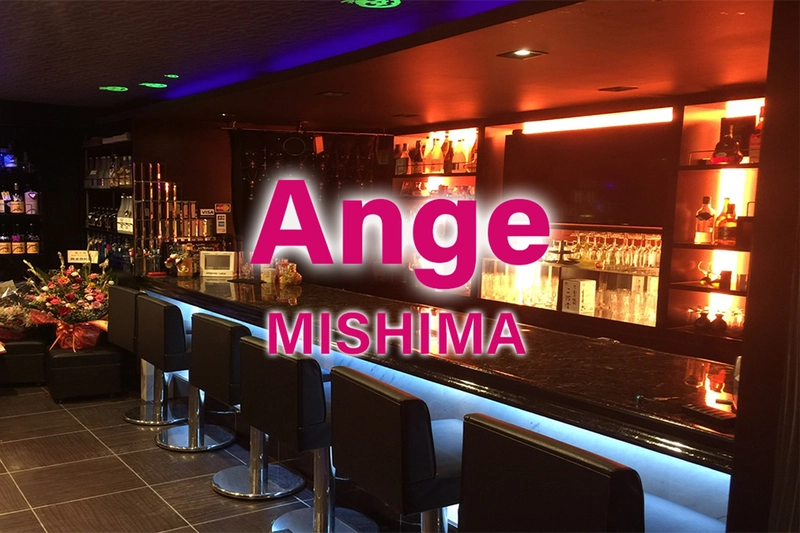 Ange求人情報