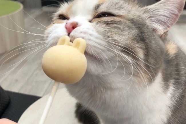 にぃな