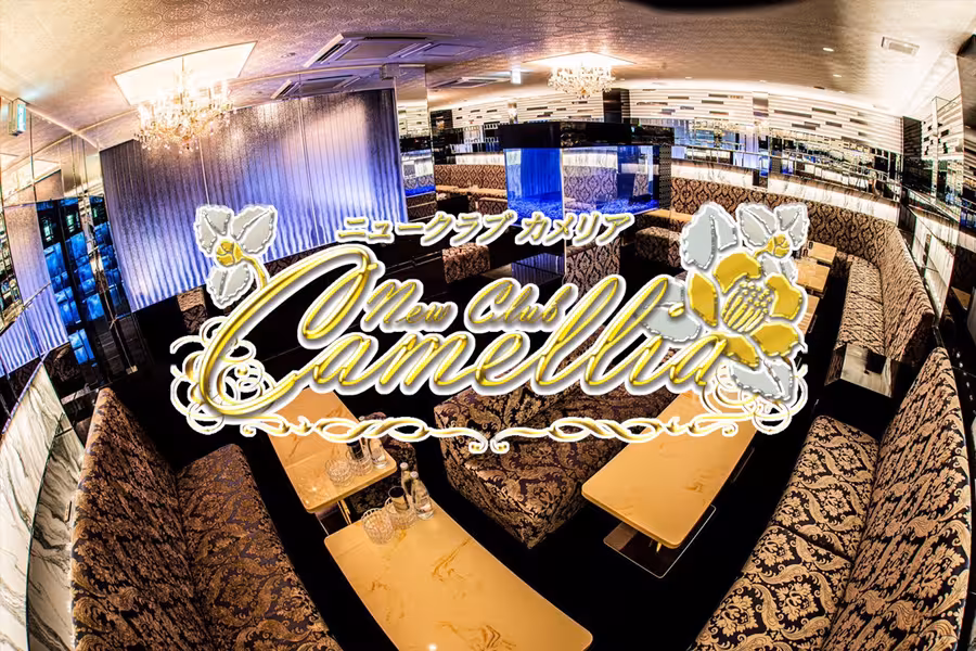 New Club Camellia