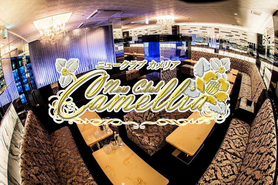 New Club Camellia