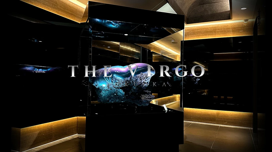 THE VIRGO FUKUOKA
