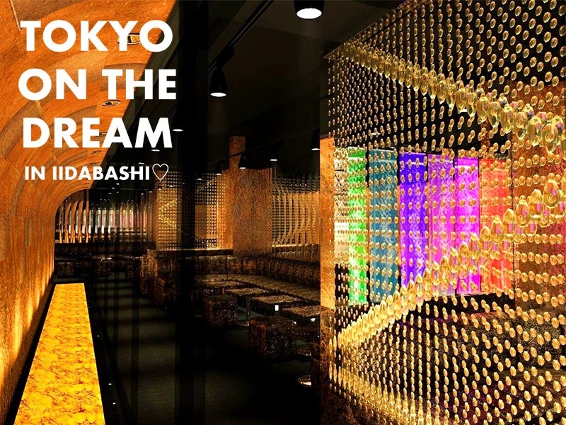 Tokyo on the Dream