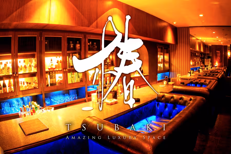 Amazing Luxury Space 椿